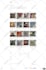 build shopify store design, shopify dropshipping store, shopify website