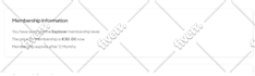 update wordpress plugins and do theme customization