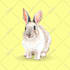 do creative social media design, posts, banner ads