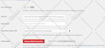 connect your domain to any website, shopify, wix, wordpress or squarespace