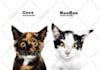 draw your pet into amazing realistic cartoon style