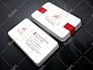 design a premium logo, brand identity, branding kit and brand style guide