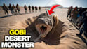 create professional eye catching youtube thumbnail