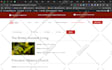 redesign wordpress or fix wordpress issues quickly