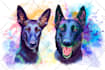draw pet portrait in different rainbow styles