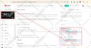 do best youtube video SEO expert optimization and channel growth manager