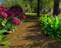 3d landscape front yard deck, home garden backyard design as landscape architect