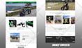 build shopify website, shopify store design or shopify ecommerce website