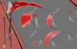 design an anime weapon for your ocs