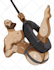 draw bara illustration, muscle gay men character