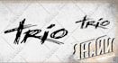 draw logo or name with rustic brush hand lettering