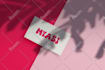 design brand identity including logo color palette typography and mood board