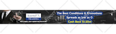 create any sized banner attractive and professional