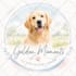 design canva social media design, canva template design, canva website design