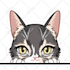 draw cute chibi style icon for profile, stream and stickers