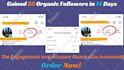 do fast organic instagram growth