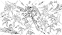 draw fun, quirky, and custom doodle art just for you