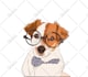 make illustration of your image