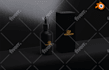 modern product label oil bottle and mockup packaging design