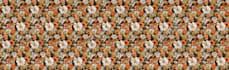illustrate and design beautiful patterns