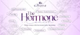 design a professional website banner or header