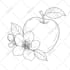 draw black and white illustrations