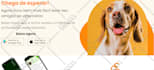 convert  psd to html5