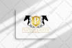 create automotive logo design
