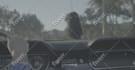 do vfx cleanup, screen replacement, object removal, and wire removal