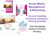 be your social media marketing manager pro
