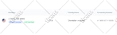 gohighlevel workflow automation gohighlevel a2p 10dlc gohighlevel expert ghl