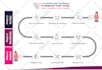design roadmap infographic charts and diagrams in 24hrs