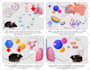 create a graphical abstract for your research article