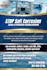 design professional digital flyer within one day