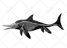 create realistic animal illustration