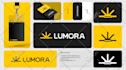 create brand logo design for your business