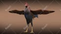 create  3d model of an animal or creature