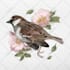 draw a scientific illustration