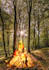 retouching,background removal,color collection, twitch
