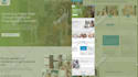 build design or redesign wordpress website development as a wordpress developer