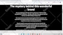 be your professional virtual assistant your long term VA