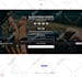 build or redesign your shopify dropshipping website store