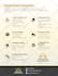 design canva social media templates, instagram posts, ebook, presentation