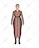 draw fashion illustrations, sketches and design collections