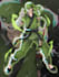 create a dynamic superhero character in marvel rivals style