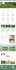 build a fast SEO optimized wordpress website using elementor