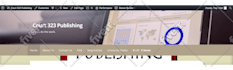 fix any wordpress bug, customisation or maintenance services