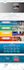build wordpress website development, business website or wordpress blog website