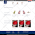 create a high converting wordpress ecommerce website with woocommerce