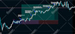 program mt4 ea, mt5 expert advisor, indicator in mql4, mql5